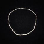 1193 2336 PEARL NECKLACE